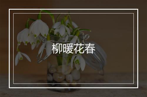 柳暖花春