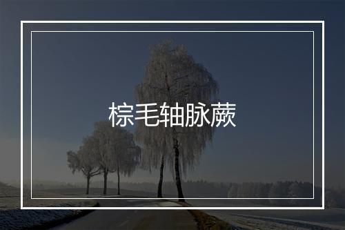 棕毛轴脉蕨