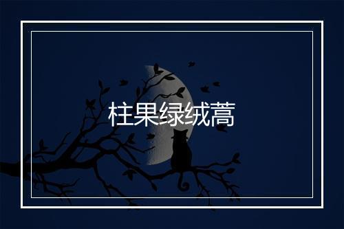 柱果绿绒蒿