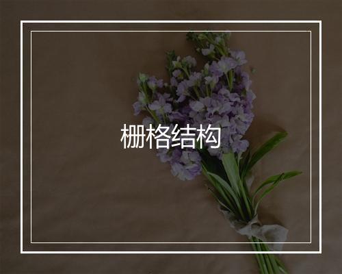 栅格结构