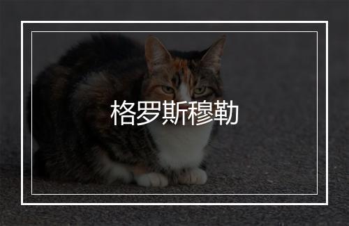 格罗斯穆勒