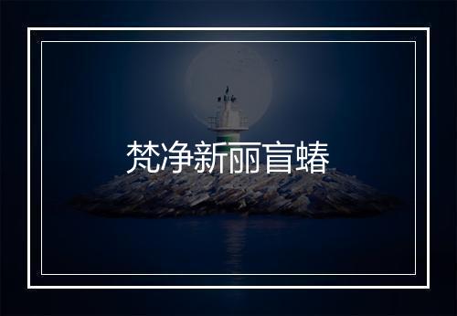 梵净新丽盲蝽