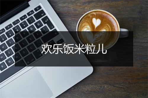 欢乐饭米粒儿