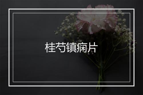 桂芍镇痫片