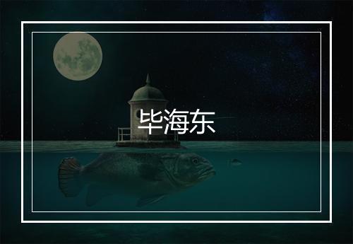 毕海东