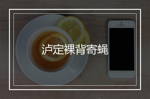 泸定裸背寄蝇