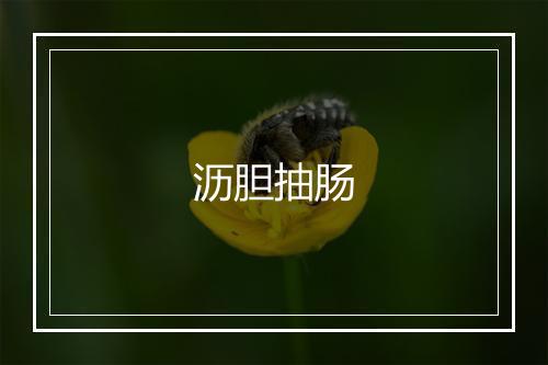 沥胆抽肠