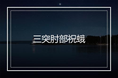 三突肘部祝蛾