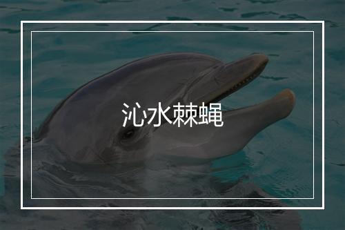 沁水棘蝇