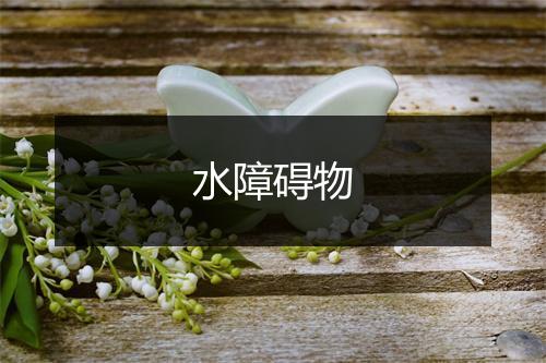 水障碍物