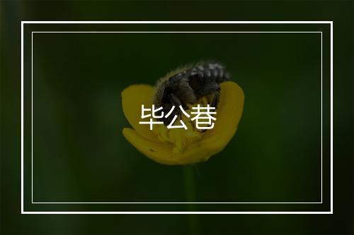 毕公巷