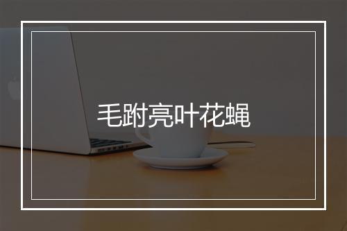 毛跗亮叶花蝇