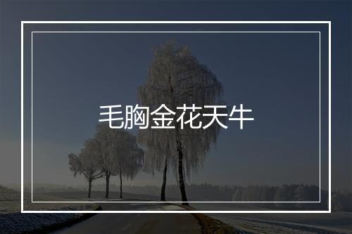 毛胸金花天牛