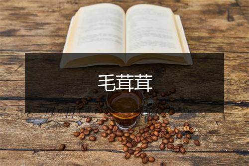 毛茸茸