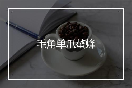 毛角单爪螯蜂