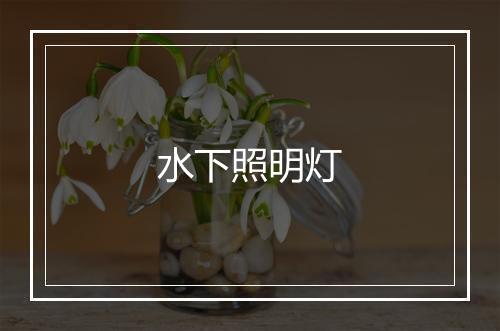 水下照明灯