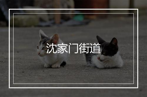 沈家门街道