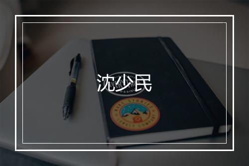 沈少民