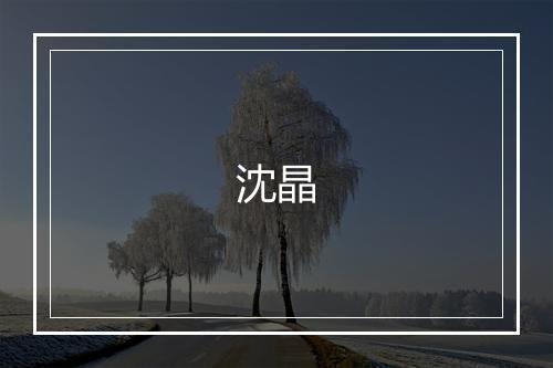 沈晶