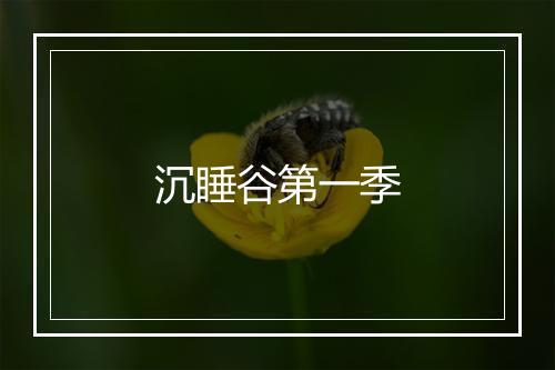 沉睡谷第一季