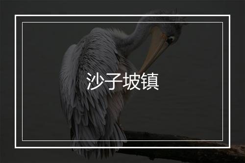 沙子坡镇