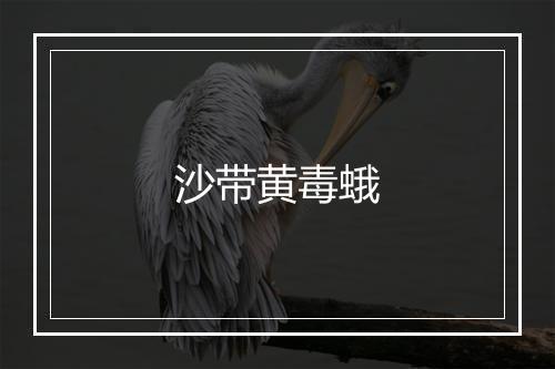 沙带黄毒蛾