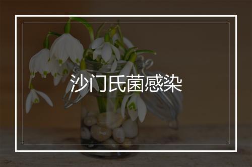 沙门氏菌感染