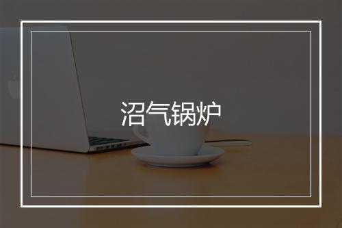 沼气锅炉