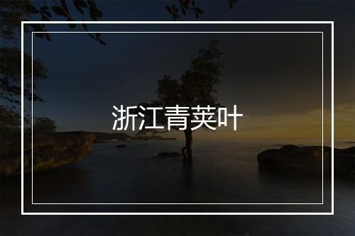 浙江青荚叶