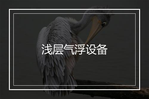 浅层气浮设备