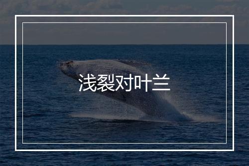 浅裂对叶兰