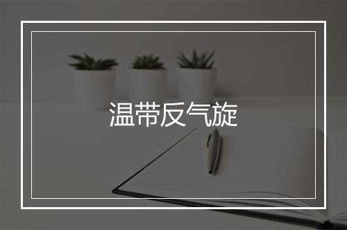 温带反气旋