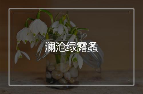 澜沧绿露螽