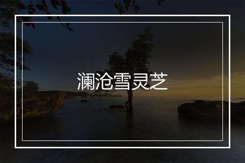 澜沧雪灵芝