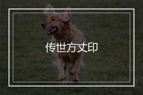 传世方丈印