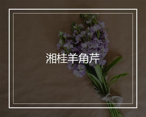 湘桂羊角芹