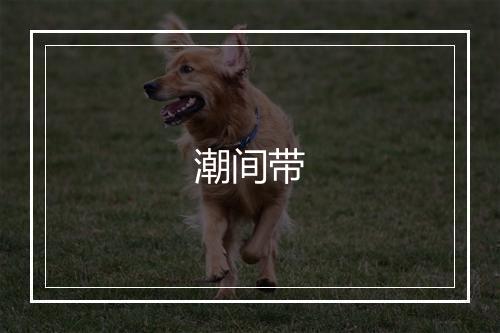 潮间带