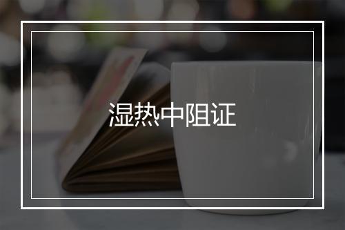 湿热中阻证