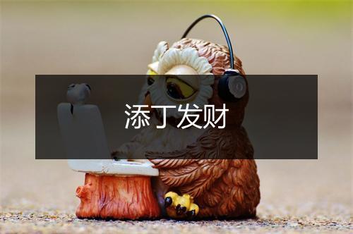 添丁发财