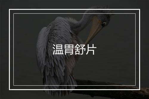 温胃舒片