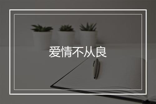 爱情不从良