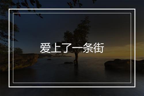 爱上了一条街