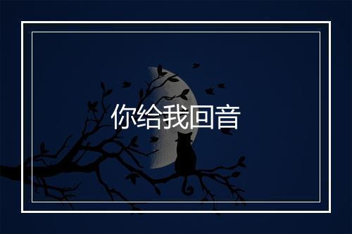 你给我回音