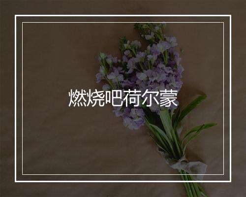 燃烧吧荷尔蒙