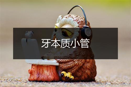 牙本质小管