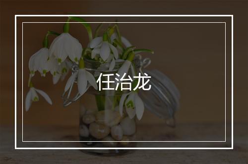 任治龙