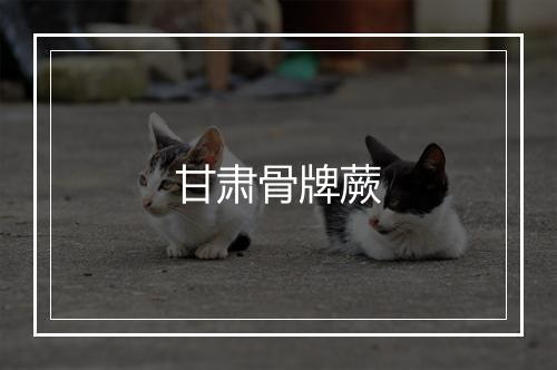 甘肃骨牌蕨