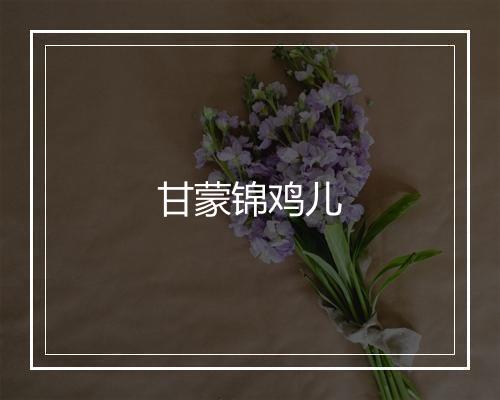 甘蒙锦鸡儿