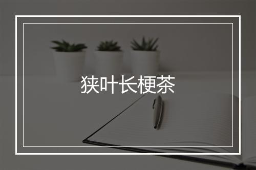 狭叶长梗茶