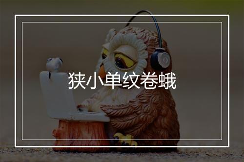 狭小单纹卷蛾